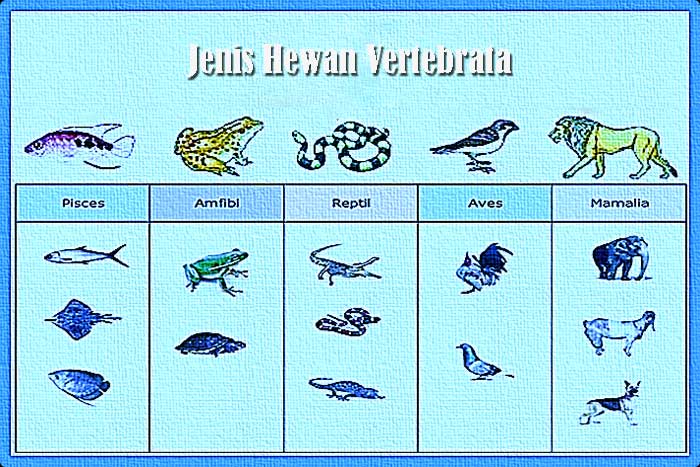 Jenis dan Ciri-ciri Hewan Vertebrata