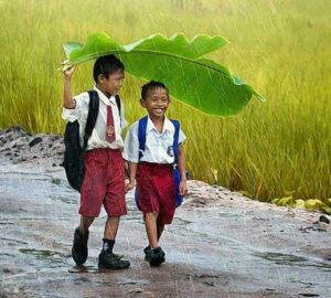Saat Hujan Di Pagi Hari
