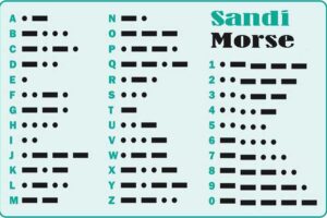 Sandi Morse