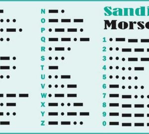 Sandi Morse