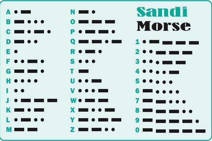 Sandi Morse