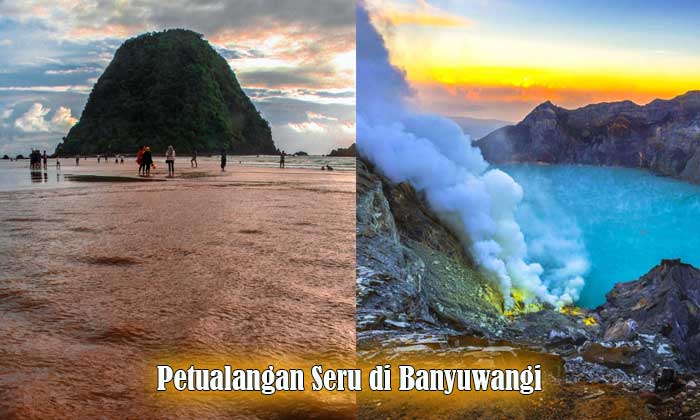 petualangan seru banyuwangi