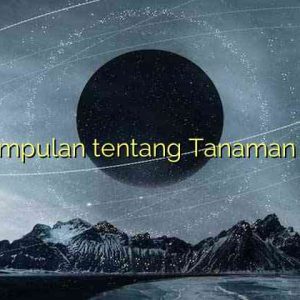 Kesimpulan tentang Tanaman Hias