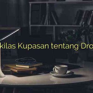 Sekilas Kupasan tentang Drone