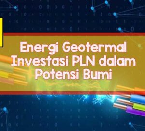 pln