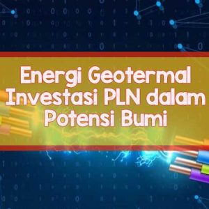 pln