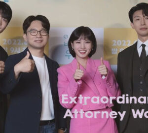 extraordinary attorney woo