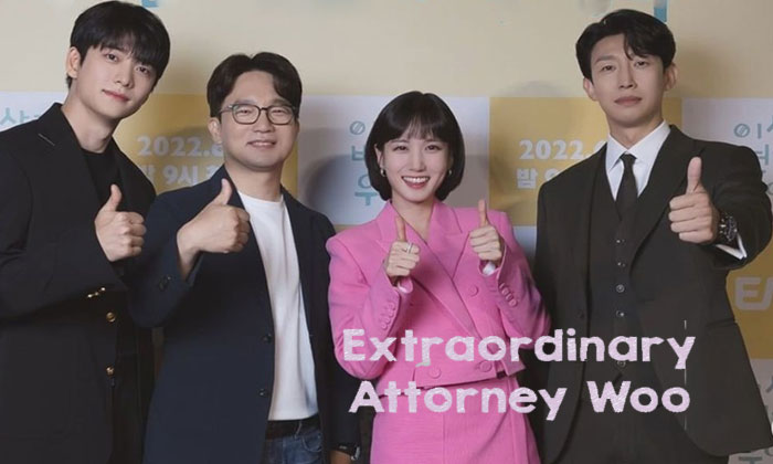 extraordinary attorney woo